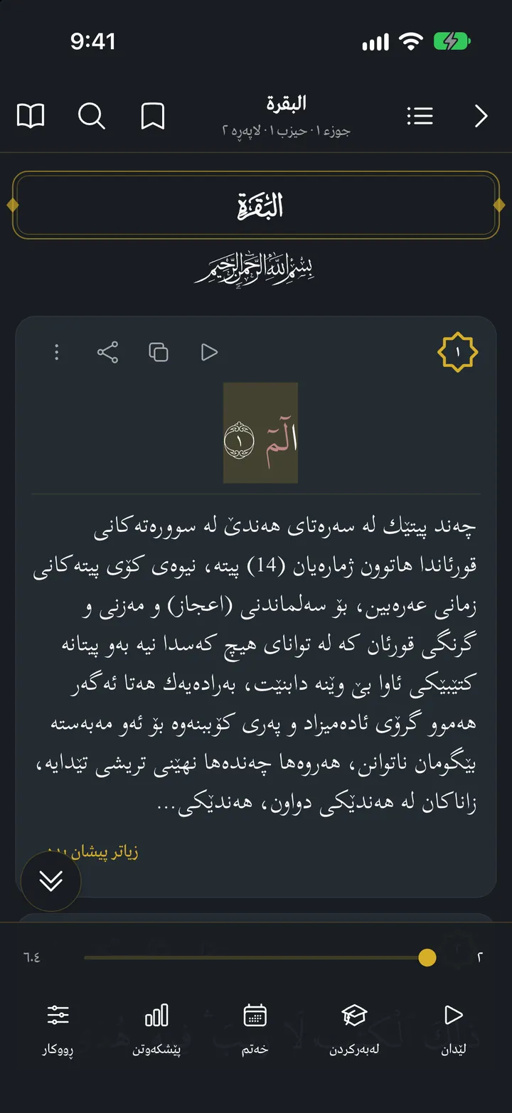 قورئانی ئێکس: وەرگێڕان و تەفسیر