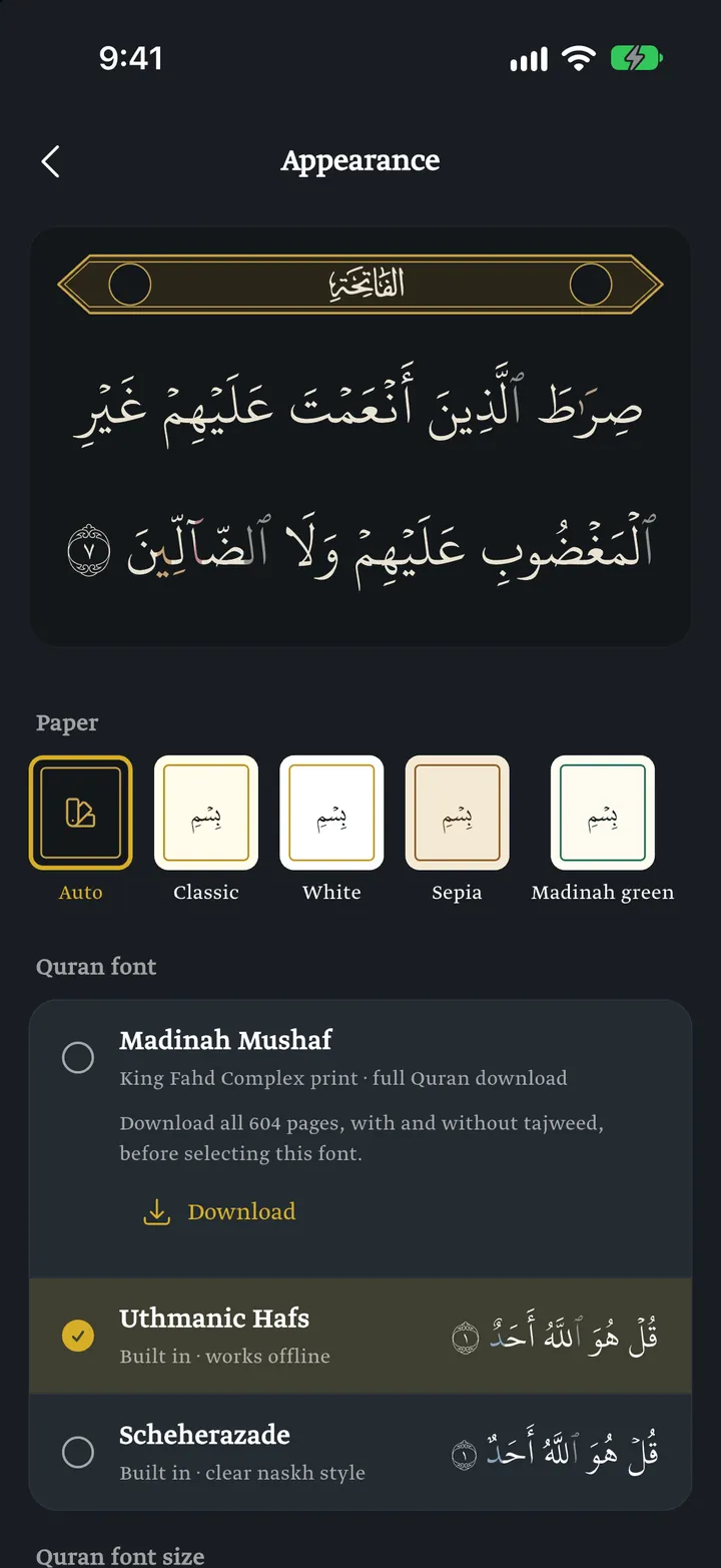 QuraniX: Display